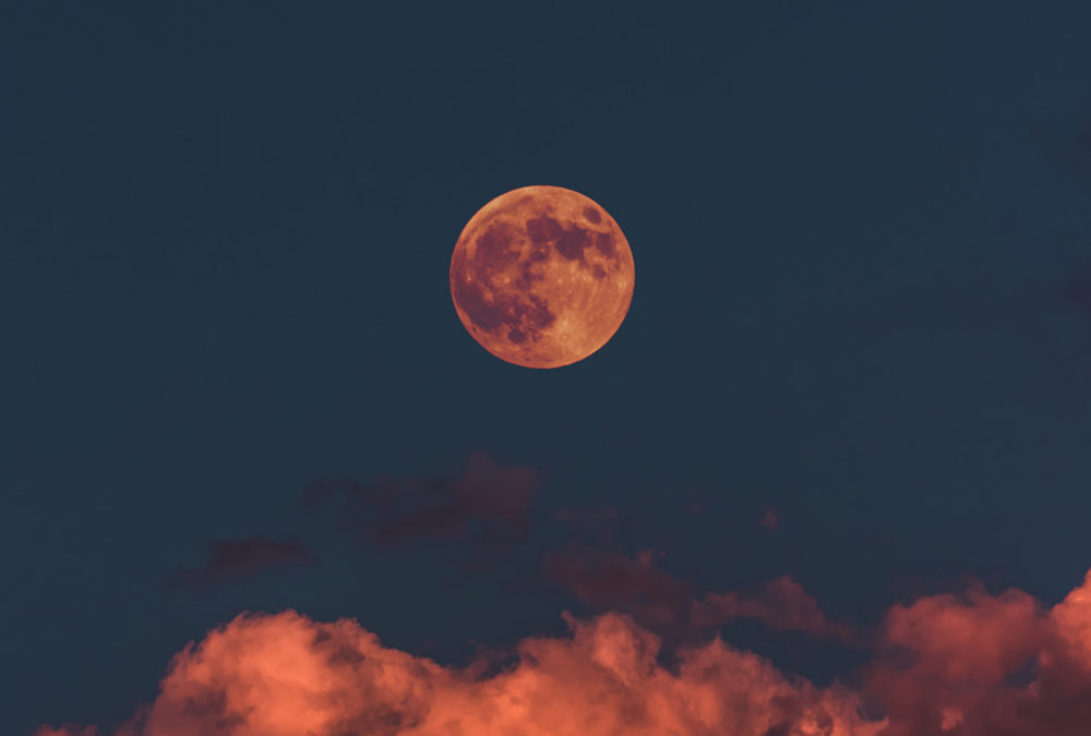 Full Moon in Taurus 2019