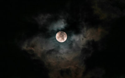 Full Moon – General Election 2019